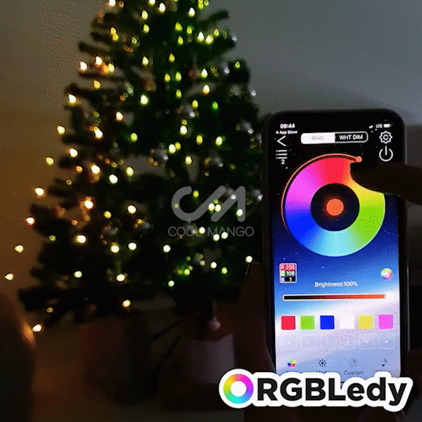 LUMINI LED SMART PENTRU CRĂCIUN - RGBLedy
