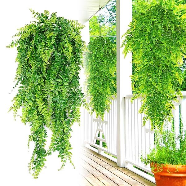 Plantă decorativă suspendată - Fernleaves