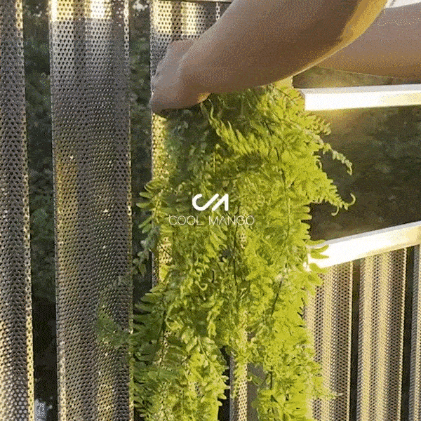 Plantă decorativă suspendată - Fernleaves