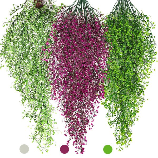 Plantă decorativă agățată - Ivyplant