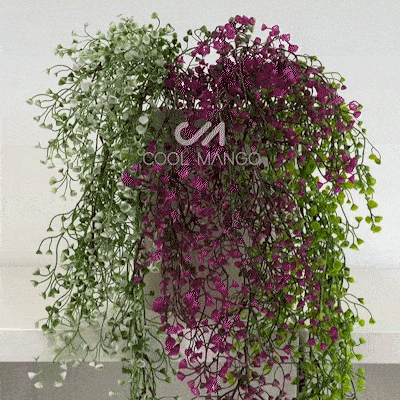 Plantă decorativă agățată - Ivyplant