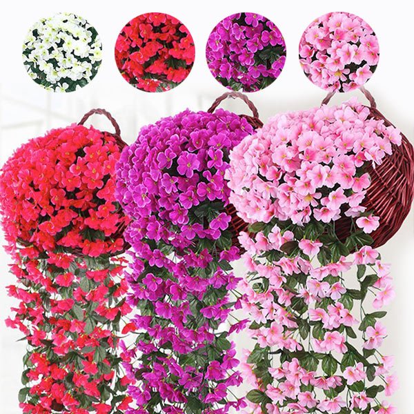 Floare decorativă suspendată - Hangyplant