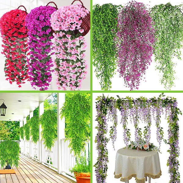 Floare ornamentală agățată - Flowers